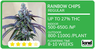 The Amazing Fat Bastard Weed A Comprehensive Guide The Amazing Fat Bastard Weed A Comprehensive Guide
