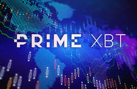 The Rise of Exchange PrimeXBT in the Cryptocurrency Market
