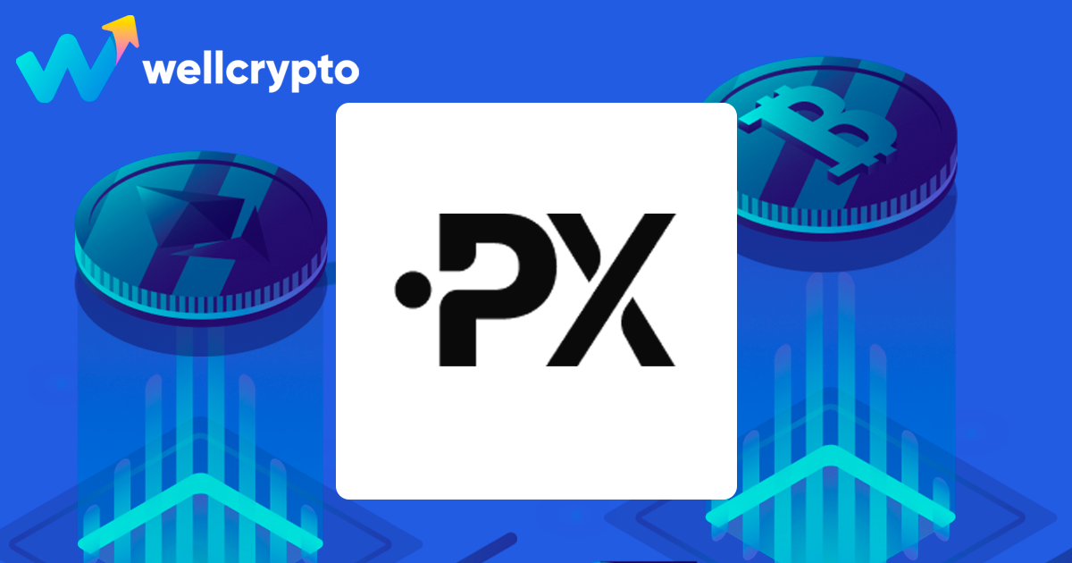 The Rise of Exchange PrimeXBT in the Cryptocurrency Market