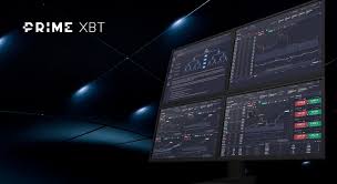 Maximize Your Trading Experience with PrimeXBT Bonuses Maximize Your Trading Experience with PrimeXBT Bonuses